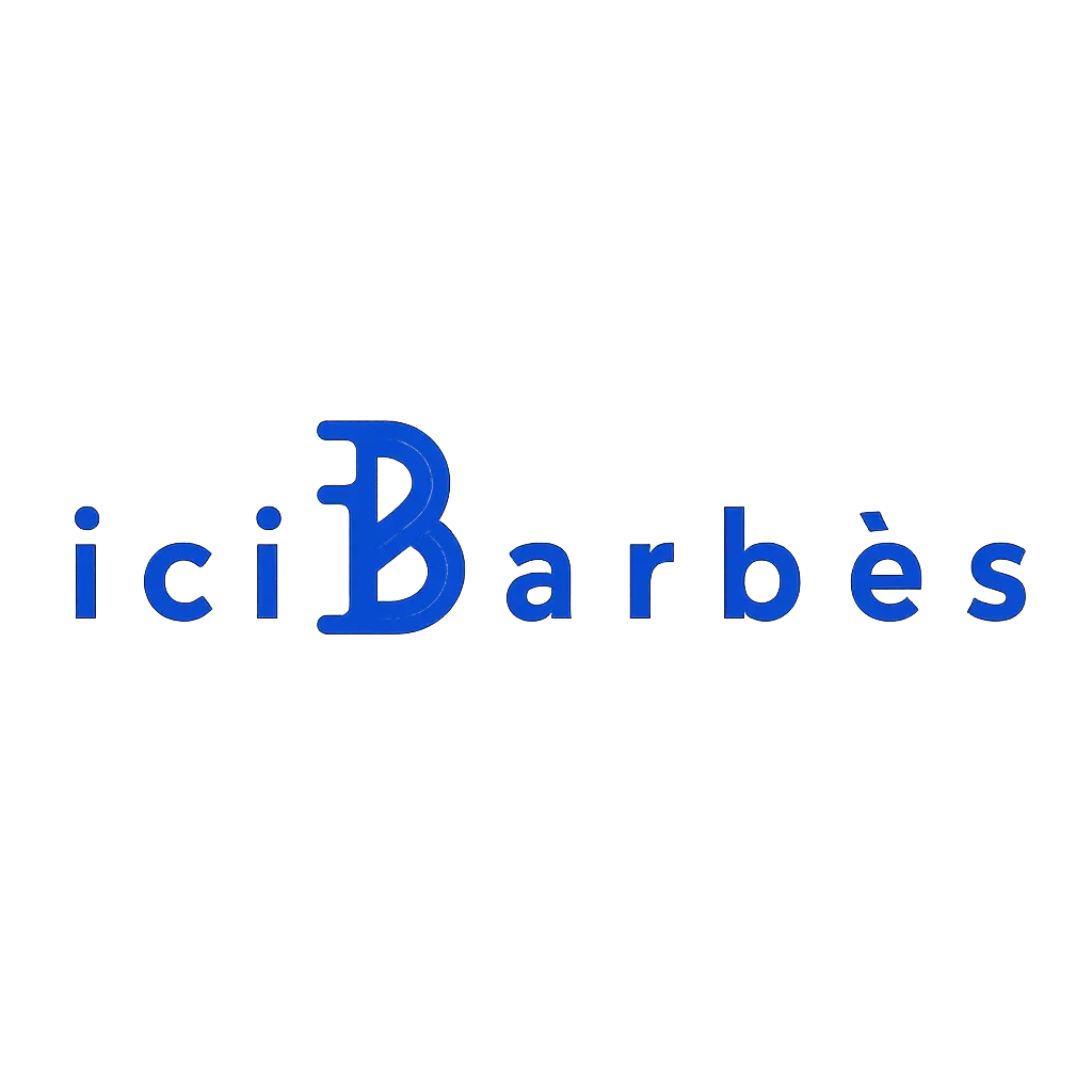 Ici Barbès accompagnement Data & IA par Pravdata - Angers et Nantes